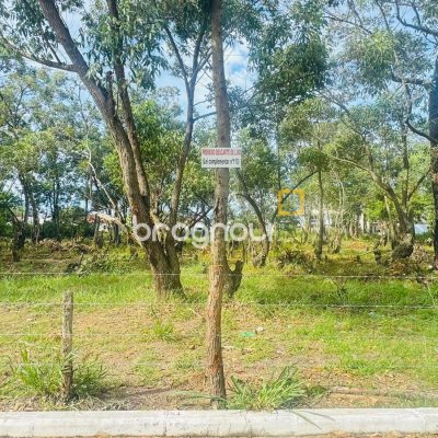 Terreno com 380m², no bairro São João do Rio Vermelho em Florianópolis