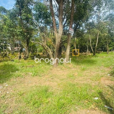 Terreno com 380m², no bairro São João do Rio Vermelho em Florianópolis
