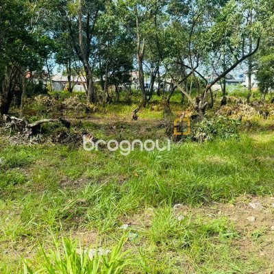 Terreno com 380m², no bairro São João do Rio Vermelho em Florianópolis