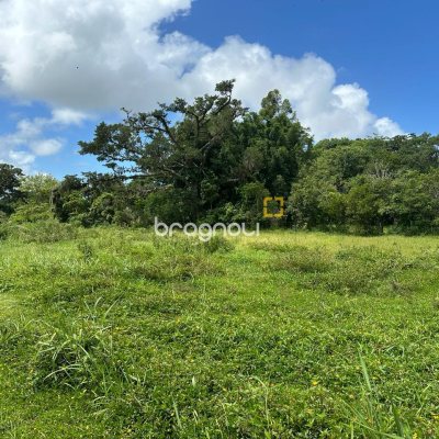 Terreno com 462m², no bairro Ribeirão da Ilha em Florianópolis