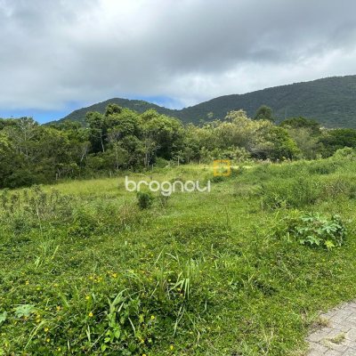 Terreno com 462m², no bairro Ribeirão da Ilha em Florianópolis