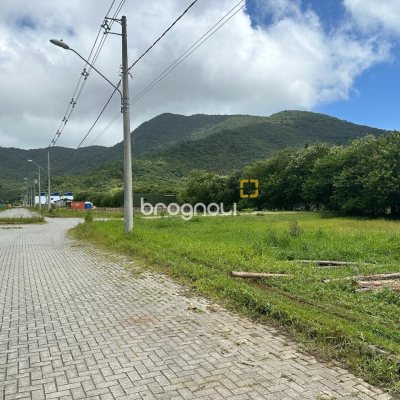Terreno com 462m², no bairro Ribeirão da Ilha em Florianópolis