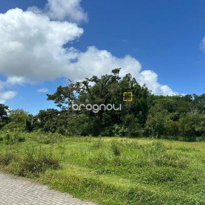 Terreno com 462m², no bairro Ribeirão da Ilha em Florianópolis