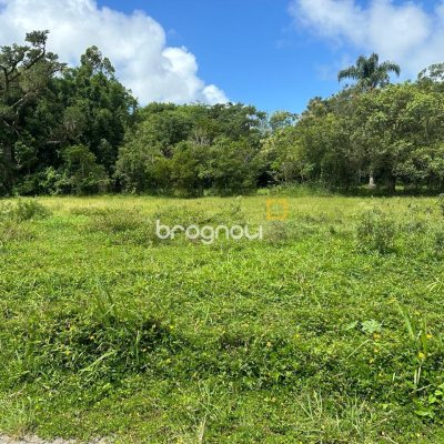 Terreno com 462m², no bairro Ribeirão da Ilha em Florianópolis