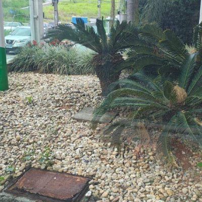 Apartamento com 118m², 2 quartos, 1 suíte, 2 garagens, no bairro Pagani em Palhoça