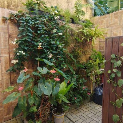 Casa com 160m², 3 quartos (sendo 1 suíte), 3 garagens, no bairro Bela Vista em São José