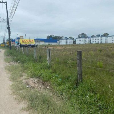 Terreno com 33734m², no bairro Sertão do Imaruim em São José