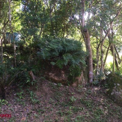 Sitio com 17763m², 3 quartos, 1 suíte, 1 garagem, no bairro Vargem Pequena em Florianópolis