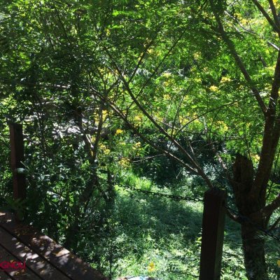 Sitio com 17763m², 3 quartos, 1 suíte, 1 garagem, no bairro Vargem Pequena em Florianópolis