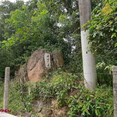 Terrenos Residenciais com 4990m², no bairro Vargem Pequena em Florianópolis