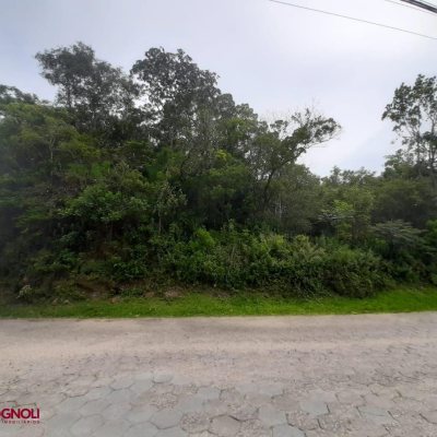 Terrenos Residenciais com 4990m², no bairro Vargem Pequena em Florianópolis