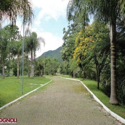 Terrenos Residenciais com 450m², no bairro Ratones em Florianópolis