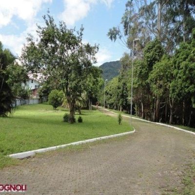 Terrenos Residenciais com 450m², no bairro Ratones em Florianópolis