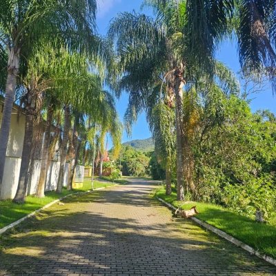 Terrenos Residenciais com 450m², no bairro Ratones em Florianópolis