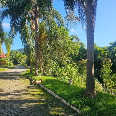 Terrenos Residenciais com 450m², no bairro Ratones em Florianópolis