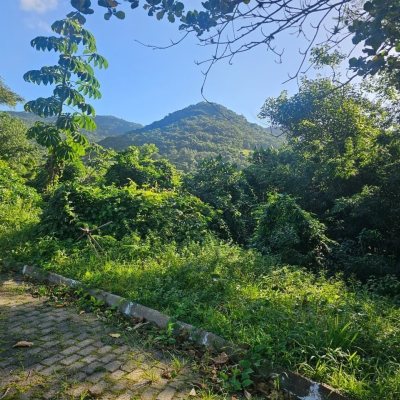 Terrenos Residenciais com 450m², no bairro Ratones em Florianópolis