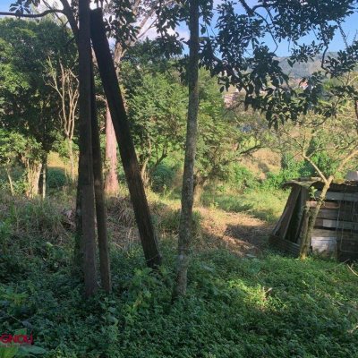 Terreno Comercial/Residencial com 6184m², no bairro Bom Viver em Biguaçu