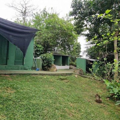 Casa Residencial com 270m², 5 quartos, 1 suíte, 2 garagens, no bairro Sambaqui em Florianópolis