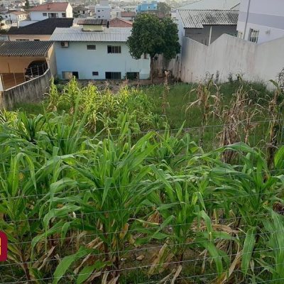 Terrenos Residenciais com 360m², no bairro Fazenda Santo Antônio em São José
