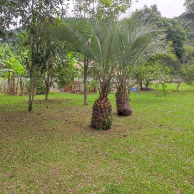 Sitio com 200m², 3 quartos, 1 suíte, 2 garagens, no bairro Sorocaba De Dentro em Biguaçu