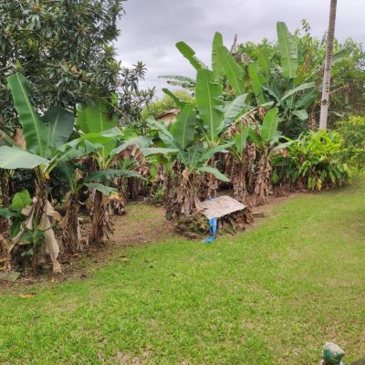 Sitio com 200m², 3 quartos, 1 suíte, 2 garagens, no bairro Sorocaba De Dentro em Biguaçu