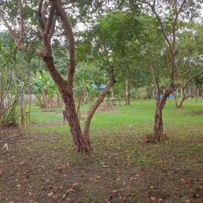 Sitio com 200m², 3 quartos, 1 suíte, 2 garagens, no bairro Sorocaba De Dentro em Biguaçu