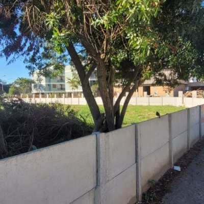 Terrenos Residenciais com 552m², no bairro Ingleses em Florianópolis