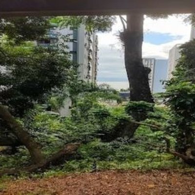 Apartamentos com 134m², 3 quartos, 1 suíte, 1 garagem, no bairro Agronômica em Florianópolis