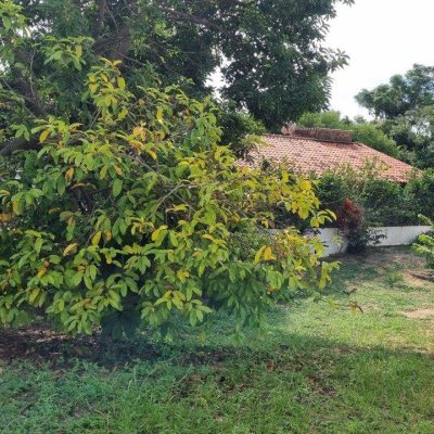 Casa Residencial com 100m², 3 quartos, no bairro Ingleses do Rio Vermelho em Florianópolis