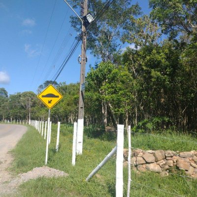 Terrenos Residenciais com 6394m², no bairro Ratones em Florianópolis
