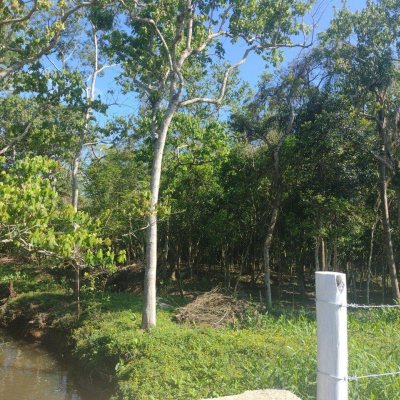 Terrenos Residenciais com 6394m², no bairro Ratones em Florianópolis