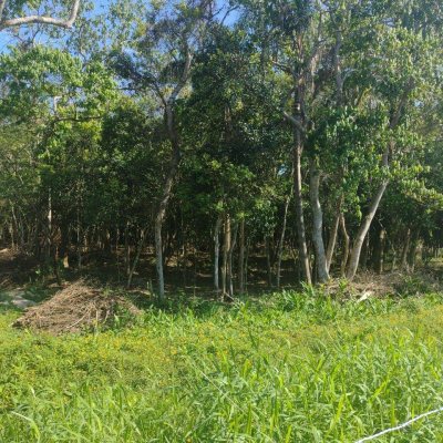 Terrenos Residenciais com 6394m², no bairro Ratones em Florianópolis