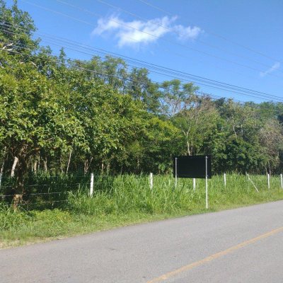 Terrenos Residenciais com 6394m², no bairro Ratones em Florianópolis