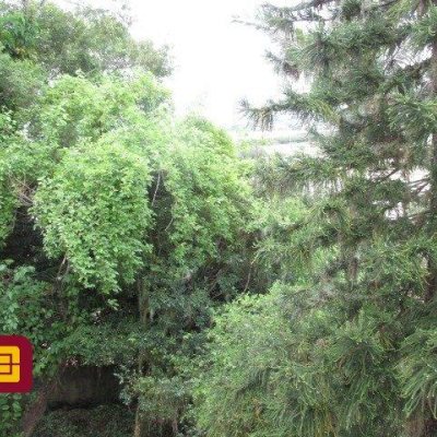 Casa Residencial com 160m², 4 quartos, 1 suíte, 2 garagens, no bairro Saco Dos Limões em Florianópolis