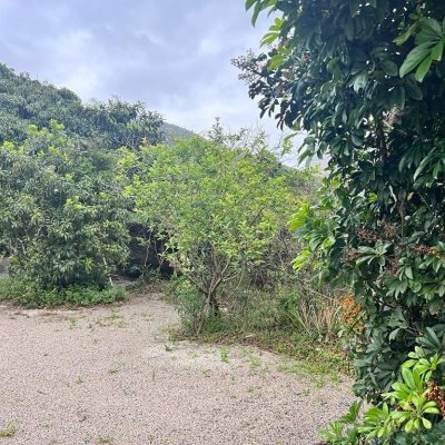 Terreno Comercial/Residencial com 4215m², no bairro Alto Ribeirão em Florianópolis