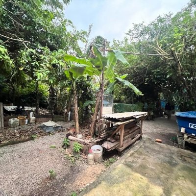 Terreno Comercial/Residencial com 4215m², no bairro Alto Ribeirão em Florianópolis