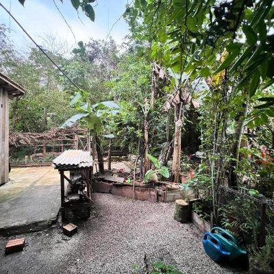 Terreno Comercial/Residencial com 4215m², no bairro Alto Ribeirão em Florianópolis