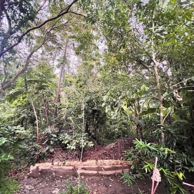 Terreno Comercial/Residencial com 4215m², no bairro Alto Ribeirão em Florianópolis