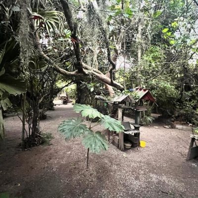 Terreno Comercial/Residencial com 4215m², no bairro Alto Ribeirão em Florianópolis