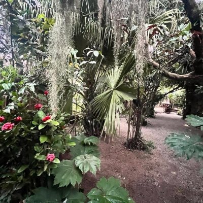 Terreno Comercial/Residencial com 4215m², no bairro Alto Ribeirão em Florianópolis