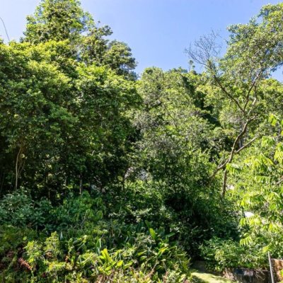 Casa Residencial com 430m², 4 quartos, 4 suítes, 8 garagens, no bairro Lagoa da Conceição em Florianópolis