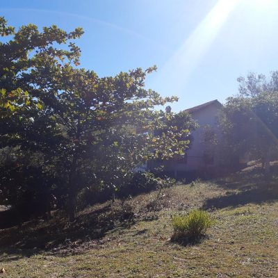 Terrenos Residenciais com 4260m², no bairro Ribeirão da Ilha em Florianópolis