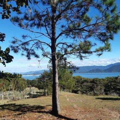 Terrenos Residenciais com 4260m², no bairro Ribeirão da Ilha em Florianópolis