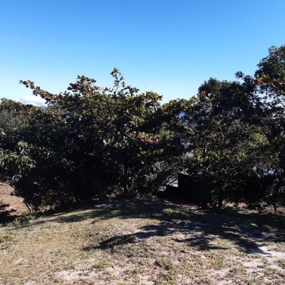 Terrenos Residenciais com 4260m², no bairro Ribeirão da Ilha em Florianópolis