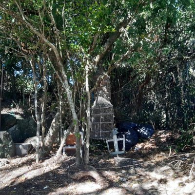 Terrenos Residenciais com 4260m², no bairro Ribeirão da Ilha em Florianópolis