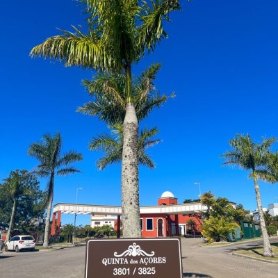 Casa Residencial com 340m², 3 quartos, 2 suítes, 2 garagens, no bairro Rio Tavares em Florianópolis