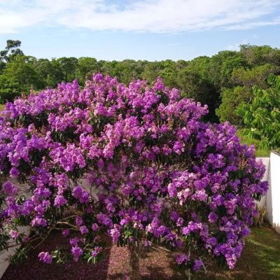 Casa Residencial com 141m², 3 quartos, 1 suíte, 2 garagens, no bairro Campeche em Florianópolis