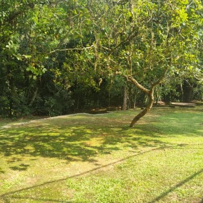 Terrenos Residenciais com 3363m², no bairro Córrego Grande em Florianópolis