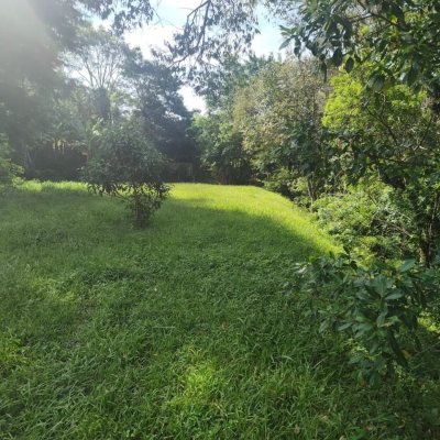 Terrenos Residenciais com 3363m², no bairro Córrego Grande em Florianópolis