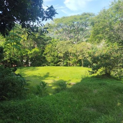 Terrenos Residenciais com 3363m², no bairro Córrego Grande em Florianópolis